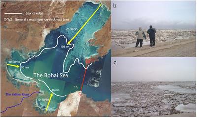 Impacts of sea ice on suspended sediment transport during heavy ice years in the Bohai Sea